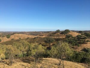 Vista geral Terrenos Rústicos em Castro Marim