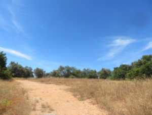 Vista da área urbana do terreno em Tavira, Algarve