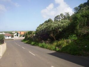 Localização dos terrenos nas proximidades de arruamentos bem estruturados