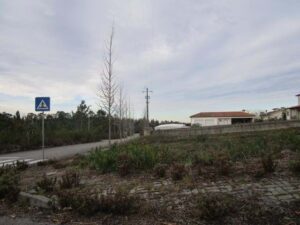 Acessos ao terreno em Águeda